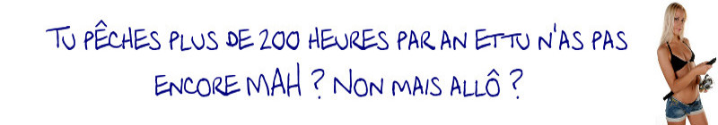 Bannière 3