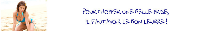 Bannière 2